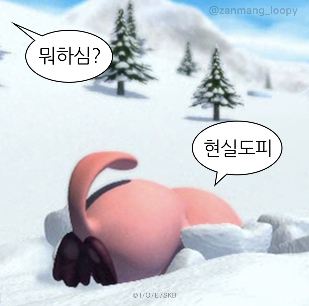 다시보기 없어요